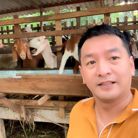 Huỳnh Quân - Tìm bạn tâm sự - Gia Định, Hồ Chí Minh - Chân Thành