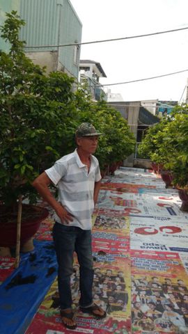 Bạn Nam Dương Hải Ly dị 54 tuổi Tìm người yêu lâu dài ở Thủ Đức, TP Hồ Chí Minh