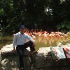 Phạm Văn Sơn - Tìm bạn đời - Long Điền, Bà Rịa - Vũng Tàu - Tìm bạn đời