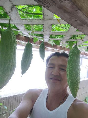 Bạn Nam Anh xoài Ly dị 59 tuổi Tìm bạn đời ở California, Mỹ