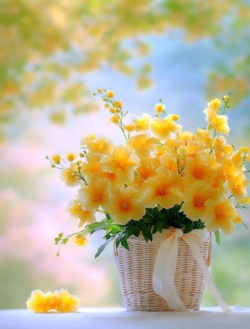 Bạn Nữ Vy Ly dị 37 tuổi Tìm người yêu lâu dài ở Quận 3, TP Hồ Chí Minh