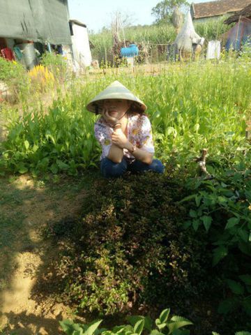 Bạn Nữ Hoa Cỏ Độc thân 40 tuổi Tìm người để kết hôn ở Bình Thạnh, TP Hồ Chí Minh