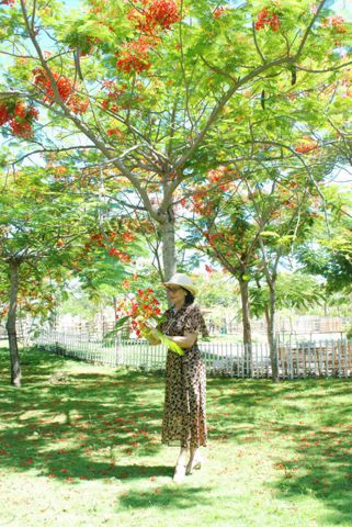 Bạn Nữ Nguyễn Thị Ly dị 60 tuổi Tìm bạn đời ở Nha Trang, Khánh Hòa