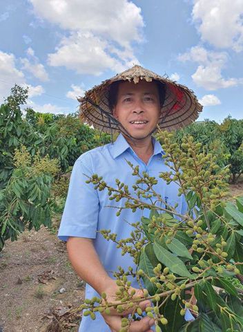 Bạn Nam Trong Phương Độc thân 51 tuổi Tìm người để kết hôn ở Pleiku, Gia Lai