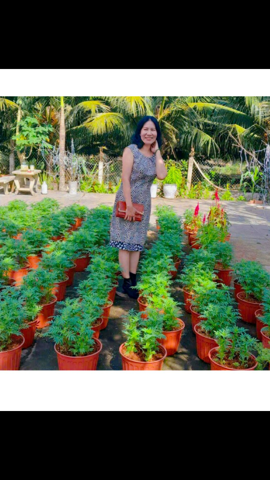Bạn Nữ Hophuong Ly dị 46 tuổi Tìm người yêu lâu dài ở TP Bến Tre, Bến Tre