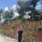 Mộc Mộc - Tìm bạn đời - Quận 3, TP Hồ Chí Minh - Nghiêm túc tìm 1 nửa