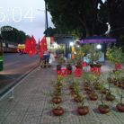 Tina Jiang - Tìm bạn đời - Gò Vấp, TP Hồ Chí Minh - Vẫn chờ anh, người phù hợp nhất với em!