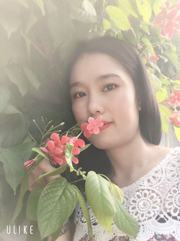Bạn Nữ Bích Ngọc Độc thân 40 tuổi Tìm người để kết hôn ở Phan Thiết, Bình Thuận