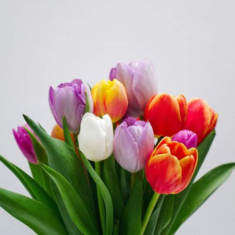 Bạn Nữ Lan Ly dị 52 tuổi Tìm bạn đời ở Bình Tân, TP Hồ Chí Minh