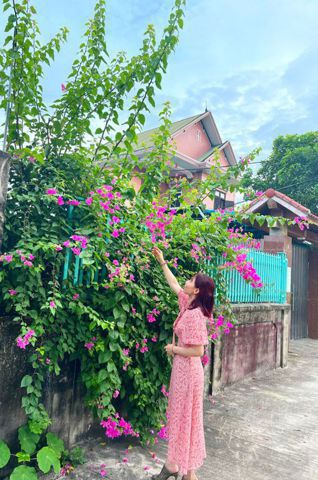 Bạn Nữ Cẩm Tú Cầu Độc thân 40 tuổi Tìm người yêu lâu dài ở Tây Hồ, Hà Nội