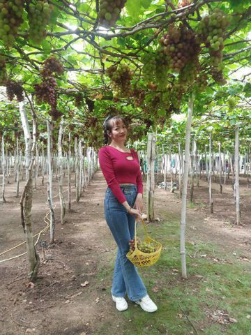 Bạn Nữ Quỳnh Như Độc thân 44 tuổi Tìm người yêu lâu dài ở Biên Hòa, Đồng Nai