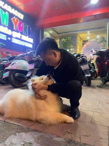 Bạn Nam Nguyễn văn Độc thân 28 tuổi Tìm người để kết hôn ở Hương Thủy, Thừa Thiên - Huế