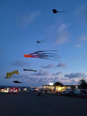 Bạn Nữ QH Độc thân 55 tuổi Tìm người yêu lâu dài ở Quận 12, TP Hồ Chí Minh