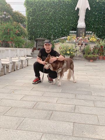 Bạn Nam Trần Văn hảo Độc thân 38 tuổi Tìm người yêu lâu dài ở Đan Phượng, Hà Nội