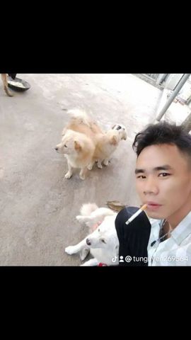 Bạn Nam Minh tú Độc thân 34 tuổi Tìm người yêu lâu dài ở Quận 3, TP Hồ Chí Minh
