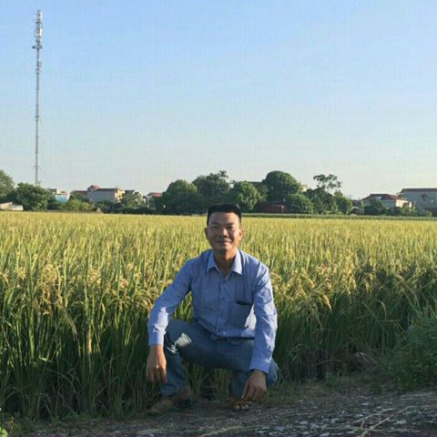 Bạn Nam Nguyễn Hổ Độc thân 38 tuổi Tìm người để kết hôn ở Nam Sách, Hải Dương
