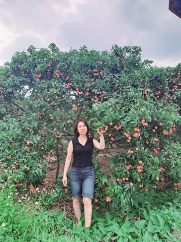 Bạn Nữ Trần phương Độc thân 46 tuổi Tìm bạn đời ở TP Hải Dương, Hải Dương