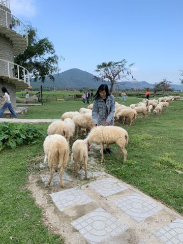 Bạn Nữ Lục Bình Ly dị 41 tuổi Tìm người yêu lâu dài ở Bến Cát, Bình Dương