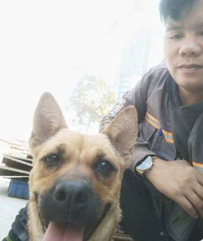 Bạn Nam Thuận Độc thân 33 tuổi Tìm người yêu lâu dài ở Quận 3, TP Hồ Chí Minh