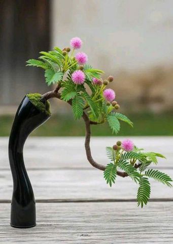 Bạn Nữ An Nhiên Độc thân 47 tuổi Tìm người yêu lâu dài ở An Bình, Cần Thơ