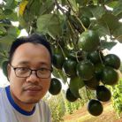 H Minh - Tìm bạn tâm sự - Thủ Dầu Một, Bình Dương - Tìm bạn
