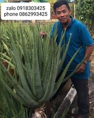 Bạn Nam THỊNH Ly dị 46 tuổi Tìm người yêu lâu dài ở Cư M'gar, Đắk Lắk
