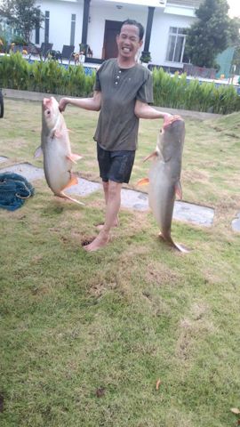 Bạn Nam ĂNguyễn Hải Độc thân 41 tuổi Tìm người yêu lâu dài ở Biên Hòa, Đồng Nai