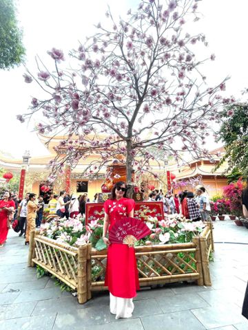 Bạn Nữ Kim Hanh Độc thân 48 tuổi Tìm người yêu lâu dài ở Quận 3, TP Hồ Chí Minh