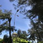 Võ Thị Thu Hương - Tìm người để kết hôn - Phan Thiết, Bình Thuận - Em hiền, chân thành