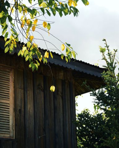 Bạn Nữ LianNguyen Độc thân 36 tuổi Tìm người để kết hôn ở Quận 3, TP Hồ Chí Minh
