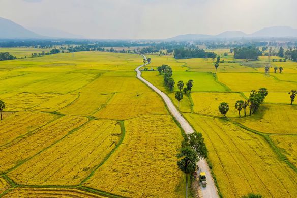Bạn Nam Trần Đăng Độc thân 21 tuổi Tìm người yêu lâu dài ở Lý Nhân, Hà Nam