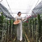 mỹ Anh - Tìm bạn đời - Củ Chi, TP Hồ Chí Minh - Bình dị