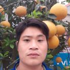 Lợi - Tìm người yêu lâu dài - Ý Yên, Nam Định - Thích về sẻ chia giao lưu tâm sự