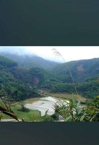 Bạn Nam Phong Ly dị 38 tuổi Tìm bạn đời ở Mỹ Đức, Hà Nội