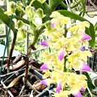 Hương Trà - Tìm người để kết hôn - TP Bắc Ninh, Bắc Ninh - An yên là hạnh phúc