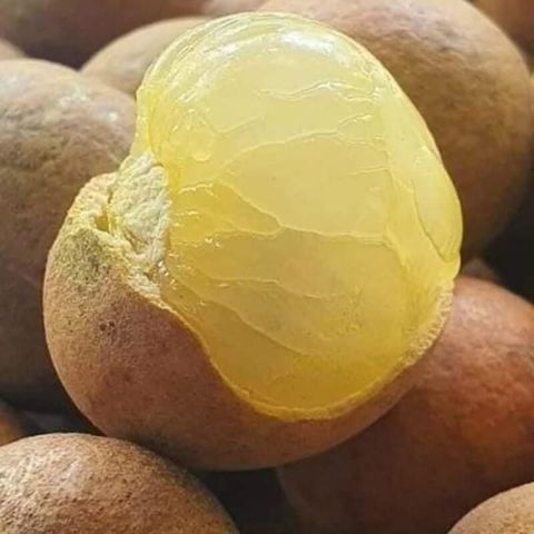 Bạn Nữ TRANG Ly dị 46 tuổi Tìm bạn tâm sự ở Quận 3, TP Hồ Chí Minh