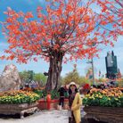 Mai - Tìm người yêu lâu dài - Mỹ Tho, Tiền Giang - Vạn su tùy duyen