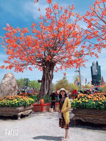 Bạn Nữ Mai Độc thân 55 tuổi Tìm người yêu lâu dài ở Mỹ Tho, Đồng Tháp