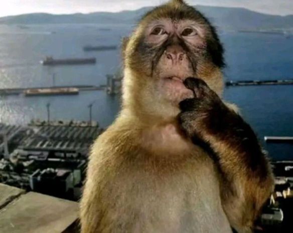 Bạn Nữ Trần Vàng Độc thân 21 tuổi Tìm người yêu lâu dài ở Bến Cát, Bình Dương