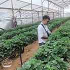 Phi - Tìm người yêu lâu dài - Quận 3, TP Hồ Chí Minh - Nói sau
