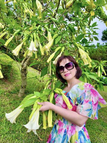 Bạn Nữ Mai Độc thân 46 tuổi Tìm người yêu lâu dài ở Đống Đa, Hà Nội