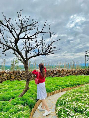 Bạn Nữ Baby Độc thân 33 tuổi Tìm bạn bè mới ở Châu Đốc, An Giang