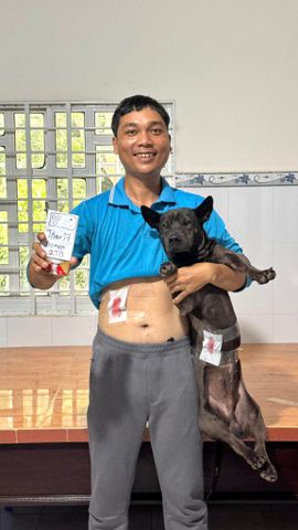 Bạn Nam Bùi Thanh Độc thân 28 tuổi Tìm người để kết hôn ở Ninh Kiều, Cần Thơ