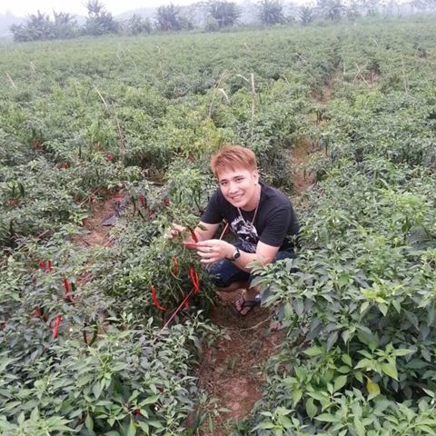 Bạn Nam Hải Nam Ly dị 40 tuổi Tìm bạn tâm sự ở Việt Trì, Phú Thọ