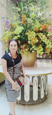 Bạn Nữ Thu Nguyen Độc thân 50 tuổi Tìm người để kết hôn ở Long Châu, Vĩnh Long