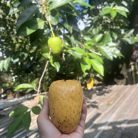 Thảo Thu - Tìm bạn đời - Trí Phải, Cà Mau - Hãy nói với em rằng người em tìm là anh. Anh ở đây!