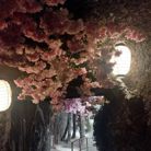 Văn - Tìm bạn đời - Helsinki, Phần Lan - Çân đôi'