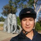 Bảo - Tìm bạn đời - New York, Mỹ - Tìm người đồng hành