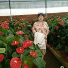 Thanh Loan - Tìm bạn đời - Sài Gòn, Hồ Chí Minh - Tìm người để kết hôn