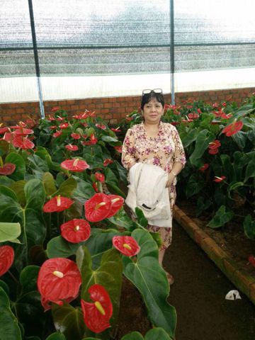 Bạn Nữ Thanh Loan Ly dị 58 tuổi Tìm bạn đời ở Minh Phụng, Hồ Chí Minh